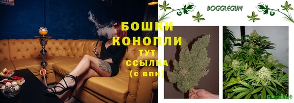 apvp Армянск