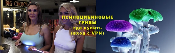 соль ск Аркадак