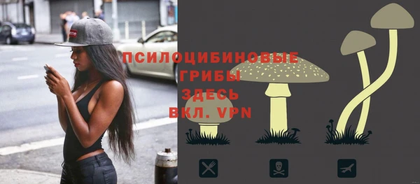 apvp Армянск