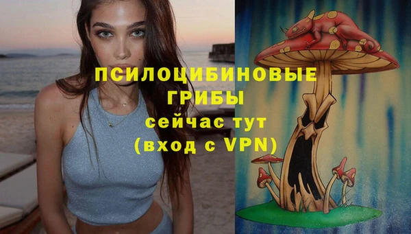 apvp Армянск